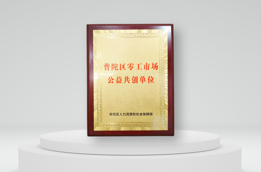 云生集团被授予“上海普陀区零工市场公益共创单位”，云生AI促进公共就业服务体系建设